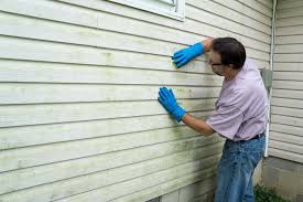 Best Insulated Siding Installation  in Bridge City, TX